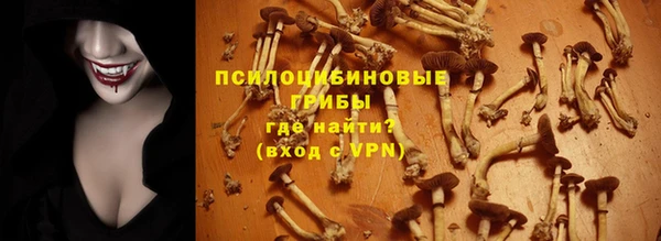 PSILOCYBIN Володарск