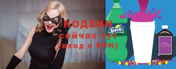 стаф Богородицк