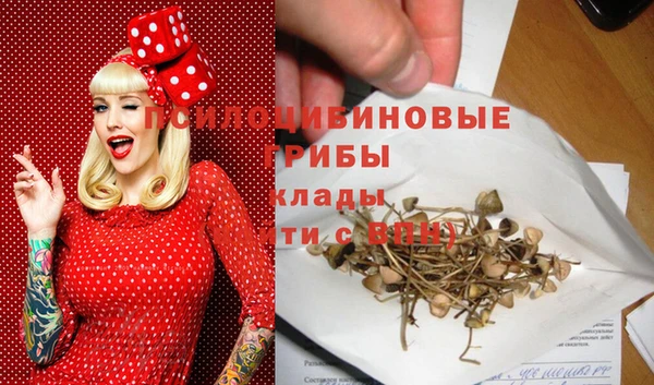 мдпв Богородск