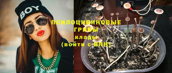 стаф Богородицк