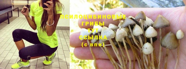 каннабис Волоколамск