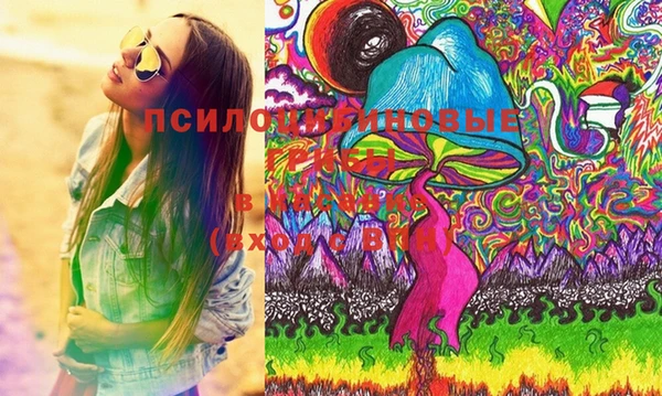 стаф Богородицк
