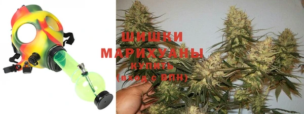 стаф Богородицк